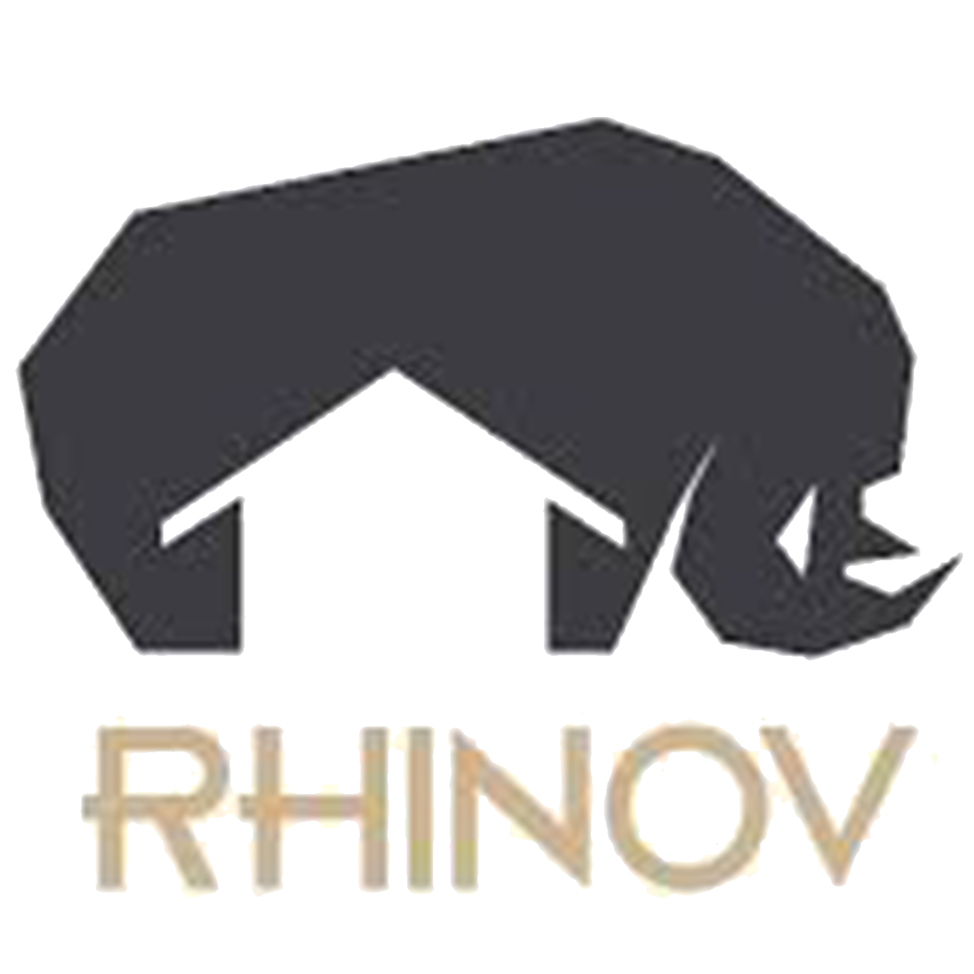 logo Rhinov